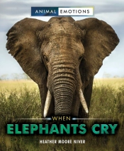 When Elephants Cry