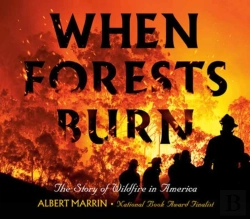 Bertrand.pt - When Forests Burn