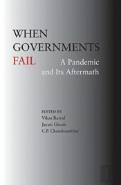 When Governments Fail Â€“ A Pandemic And Its Aftermath