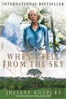 When I Fell From The Sky