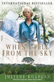 When I Fell From The Sky