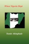 When Nigeria Slept