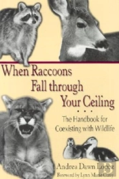 When Raccoons Fall Through Your Ceiling