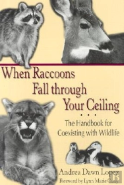 Bertrand.pt - When Raccoons Fall Through Your Ceiling