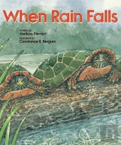 When Rain Falls