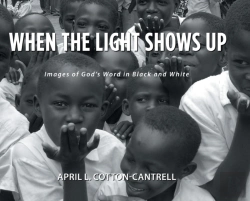 Bertrand.pt - When The Light Shows Up