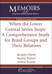 When The Lower Central Series Stops: A Comprehensive Study For Braid Groups And Their Relatives