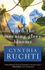 When The Morning Glory Blooms