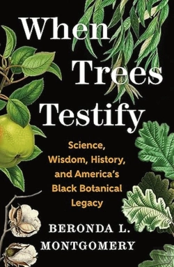 Bertrand.pt - When Trees Testify