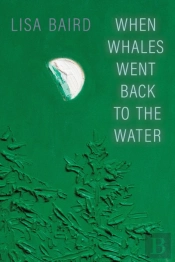 When Whales Went Back To The Water