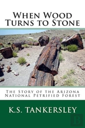 When Wood Turns To Stone: The Story Of T