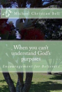Bertrand.pt - When You Can'T Understand God'S Purposes