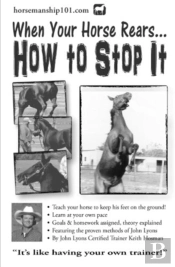 When Your Horse Rears