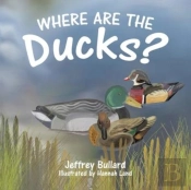 Where Are The Ducks?