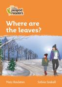 Where Are The Leaves?