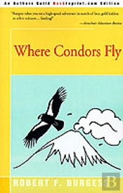Where Condors Fly
