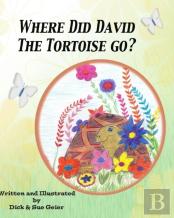 Where Did David The Tortoise Go?