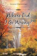 Where Did I Go Wrong?