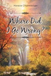 Where Did I Go Wrong?