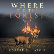 Where Did The Forest Go