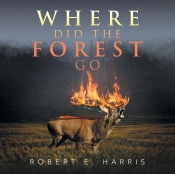 Where Did The Forest Go
