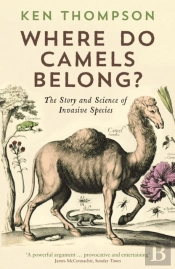 Where Do Camels Belong?