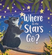 Where Do The Stars Go?