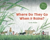 Where Do They Go When It Rains?