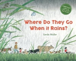 Bertrand.pt - Where Do They Go When It Rains?