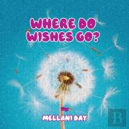 Where Do Wishes Go?