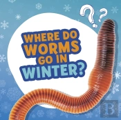 Where Do Worms Go In Winter?