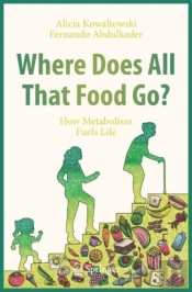 Where Does All That Food Go?