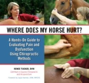 Where Does My Horse Hurt?