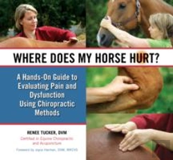Bertrand.pt - Where Does My Horse Hurt?