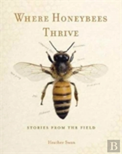 Bertrand.pt - Where Honeybees Thrive