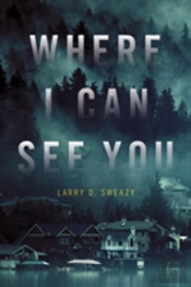 Where I Can See You