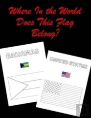 Where In The World Does This Flag Belong?