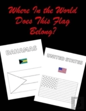 Where In The World Does This Flag Belong?