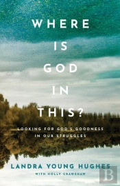 Where Is God In This? Â€“ Looking For God`S Goodness In Our Struggles