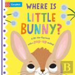 Where Is Little Bunny?