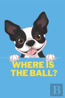 Where Is The Ball ?