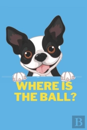 Where Is The Ball ?