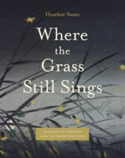 Bertrand.pt - Where The Grass Still Sings