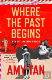 Where The Past Begins