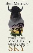 Where The Valley Meets The Sky