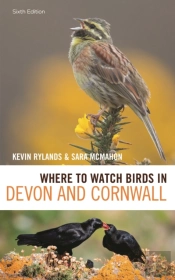 Where To Watch Birds In Devon And Cornwall