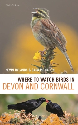 Bertrand.pt - Where To Watch Birds In Devon And Cornwall