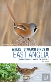 Where To Watch Birds In East Anglia