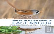 Where To Watch Birds In East Anglia