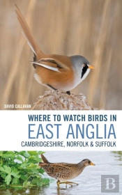 Where To Watch Birds In East Anglia
